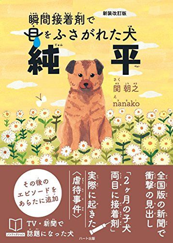 瞬間接着剤で目をふさがれた犬純平