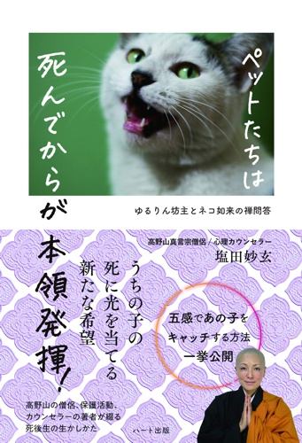 ねこ神さまとねこおやじ